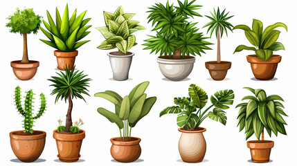 Obraz premium Set of different plants in pots isolated on white background illustration