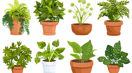 Fototapeta premium Set of different plants in pots isolated on white background illustration