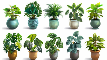 Obraz premium Set of different plants in pots isolated on white background illustration