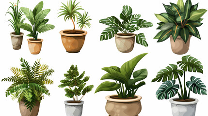Fototapeta premium Set of different plants in pots isolated on white background illustration