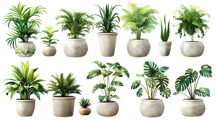Obraz premium Set of different plants in pots isolated on white background illustration