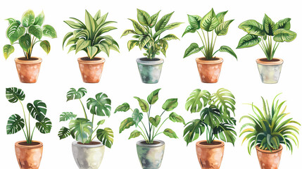 Fototapeta premium Set of different plants in pots isolated on white background illustration