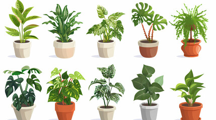 Fototapeta premium Set of different plants in pots isolated on white background illustration