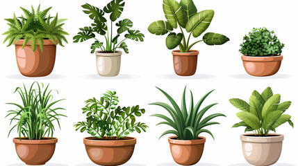 Fototapeta premium Set of different plants in pots isolated on white background illustration