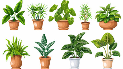 Obraz premium Set of different plants in pots isolated on white background illustration