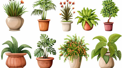Fototapeta premium Set of different plants in pots isolated on white background illustration