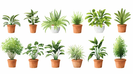 Obraz premium Set of different plants in pots isolated on white background illustration