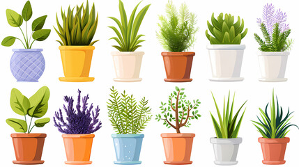 Obraz premium Set of different plants in pots isolated on white background illustration