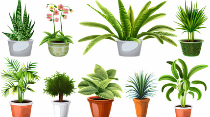 Fototapeta premium Set of different plants in pots isolated on white background illustration