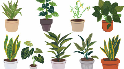 Fototapeta premium Set of different plants in pots isolated on white background illustration