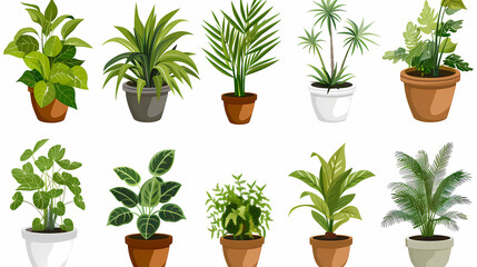 Fototapeta premium Set of different plants in pots isolated on white background illustration