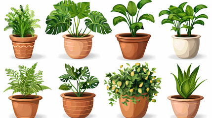Fototapeta premium Set of different plants in pots isolated on white background illustration