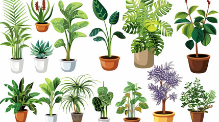 Obraz premium Set of different plants in pots isolated on white background illustration