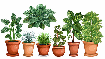 Obraz premium Set of different plants in pots isolated on white background illustration