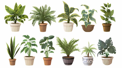 Obraz premium Set of different plants in pots isolated on white background illustration