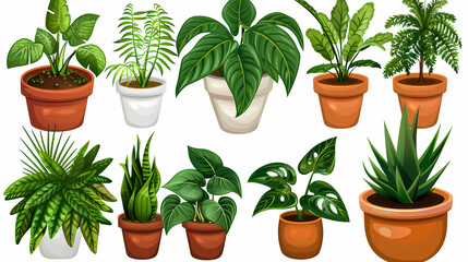 Obraz premium Set of different plants in pots isolated on white background illustration
