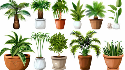 Fototapeta premium Set of different plants in pots isolated on white background illustration