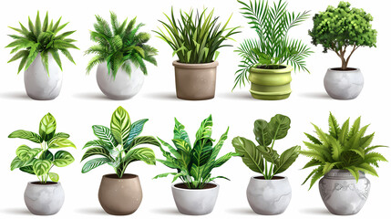Obraz premium Set of different plants in pots isolated on white background illustration