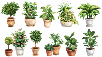 Fototapeta premium Set of different plants in pots isolated on white background illustration