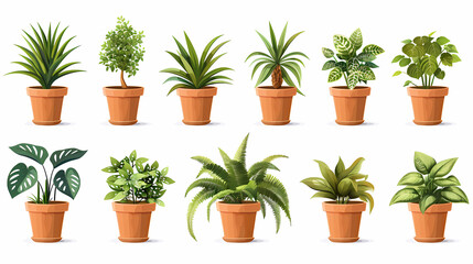 Set of different plants in pots isolated on white background illustration