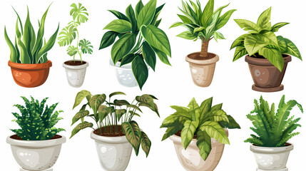 Fototapeta premium Set of different plants in pots isolated on white background illustration