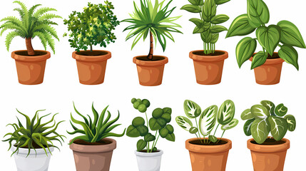Obraz premium Set of different plants in pots isolated on white background illustration