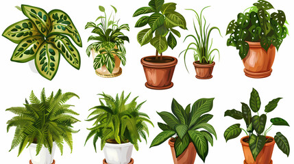Fototapeta premium Set of different plants in pots isolated on white background illustration