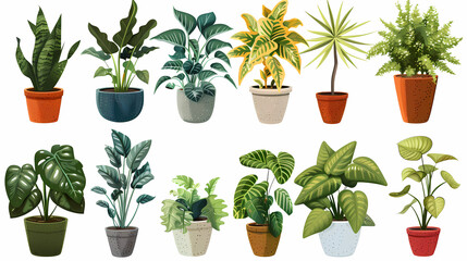 Fototapeta premium Set of different plants in pots isolated on white background illustration