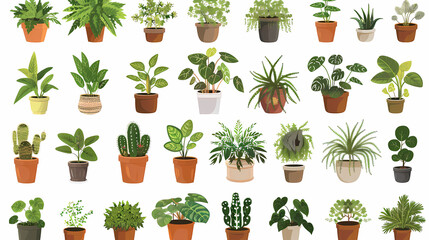 Set of different plants in pots isolated on white background illustration