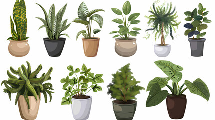 Obraz premium Set of different plants in pots isolated on white background illustration