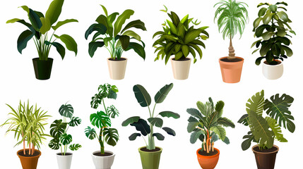Obraz premium Set of different plants in pots isolated on white background illustration
