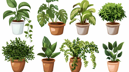 Obraz premium Set of different plants in pots isolated on white background illustration