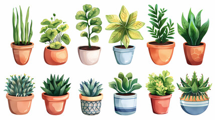 Set of different plants in pots isolated on white background illustration