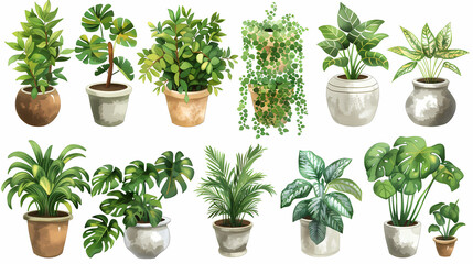 Obraz premium Set of different plants in pots isolated on white background illustration