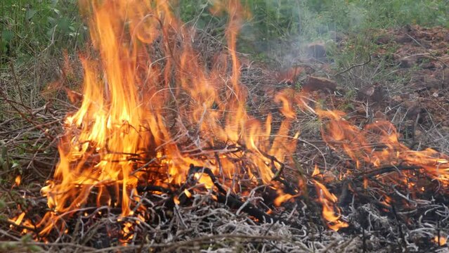  Wildfire rages through dry brush and grass