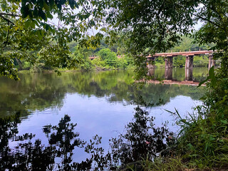 bridge over the river in amazon
