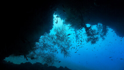 From a scuba dive in Bali, Indonesia, Asia.Underwater photo of rays of light at a cave entrance...