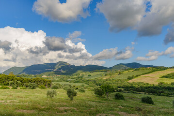 Tuscan countryside with moving clouds, Mediterranean scrub, olive trees and cultivated fields
