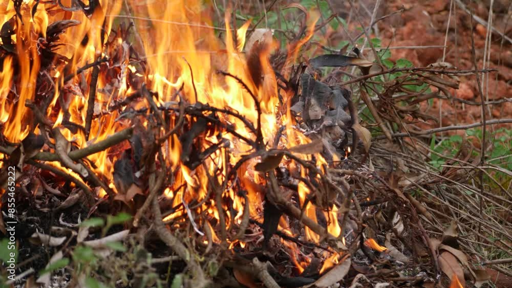 Canvas Prints  Blazing fire engulfs dry branches in outdoor setting