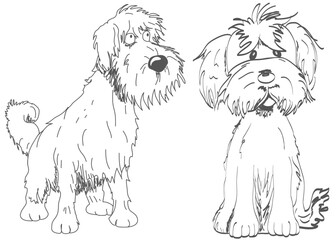 Two dogs in sketch style