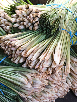 Serai or Lemon Grass at traditional market. Herb plant
