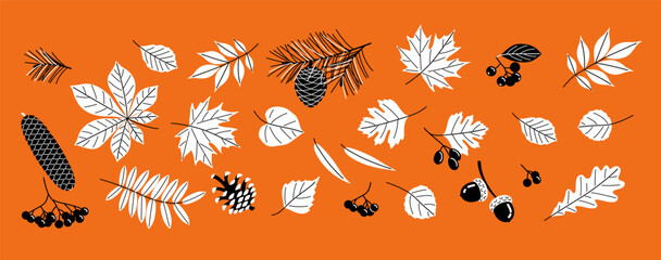 Autumn Set. Collection of forest mushrooms, yellowed leaves, berries with nuts and cones.  Black and white illustration vector illustration on orange background © ApoevArt