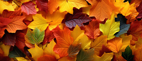 autumn leaves as nice natural color background