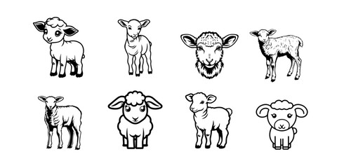 set of lamb animals livestock
