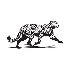 Cheetah Vector image, Art, Icons, and Graphics isolated on white background