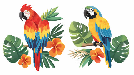The Macaw parrot sit with green leaves on a white background
