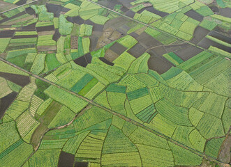 Fototapeta premium Aerial photography of rapeseed flowers in Mailing, Fuchuan, Guangxi