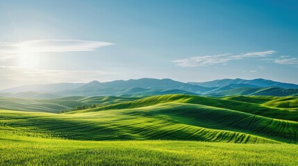 Obraz premium Serene rolling green hills under a bright blue sky with distant mountains and morning sunlight. Perfect for nature and landscape photography.