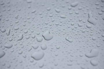 A serene image of water droplets on a smooth surface, capturing a tranquil and peaceful scene