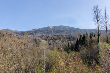 Obraz premium the beginning of autumn, walks in the countryside, panoramic views and seasonal state in nature, the colors of autumn